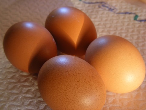 Foto: Emilian Robert Vicol CC BY-SA 2.0, Vikimedia