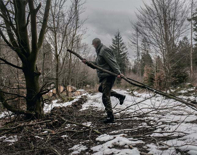 Skovfoged i skoven. Foto: Miriam Dalsgaard, Polfoto