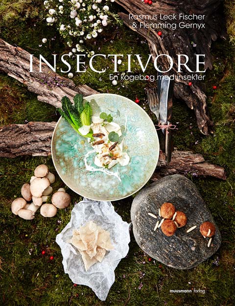 insektsbog_forside480