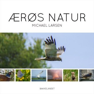 aeroes_natur