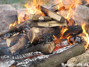 Et knitrende bål kan både være samlende - og næsten mediterende fredfyldt.