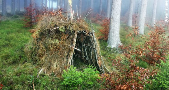 En bivuak giver ly for vind og vejr. Foto: Benjamin Haas/Dreamstime.