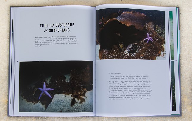 En læseværdig bog som sætter fokus på en stor undervandsnatur som kun de færreste giver sig selv adgang til.