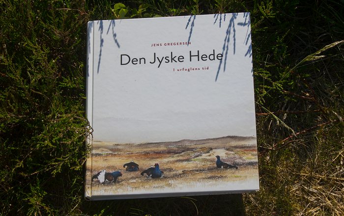 Den jyske hede - i urfuglens tid