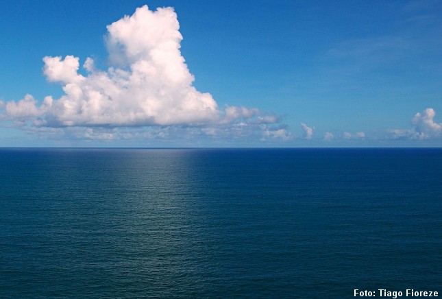 Havets dyb rummer måske uudnyttet biomasse, der kan bruges til menneskeføde. Foto: Tiago Fioreze, CC BY-SA 3.0, Wikipedia.