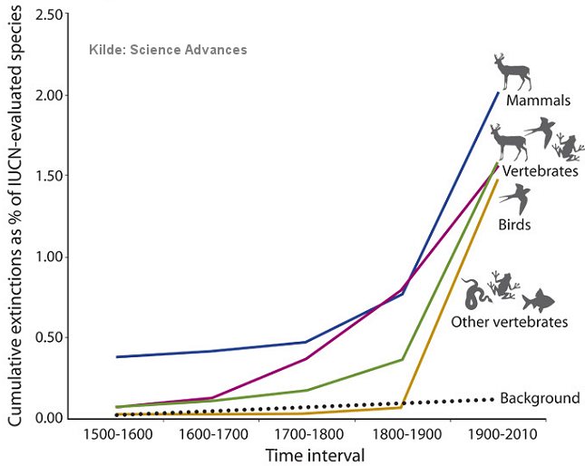 fig_speciesextinction