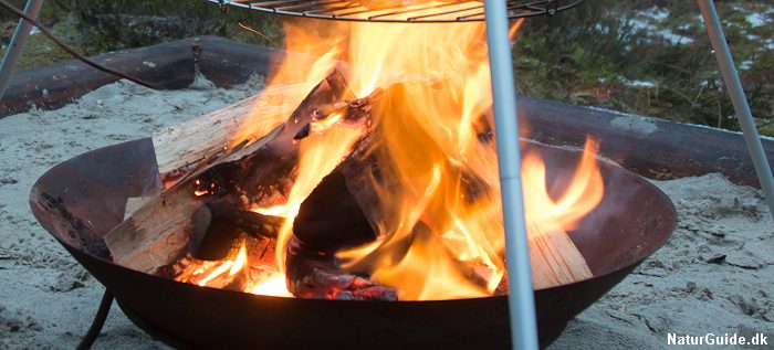 Flæskesteg over bål