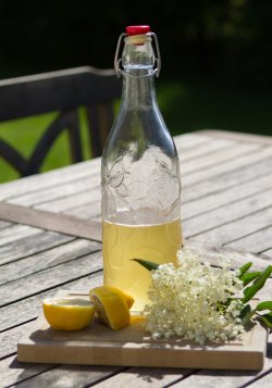 Saft af hyldeblomst.