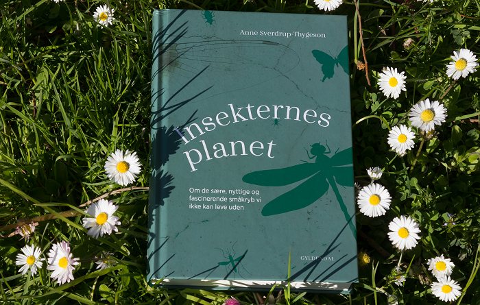 Insekternes planet