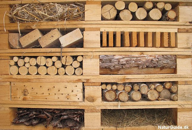 insekthotellet