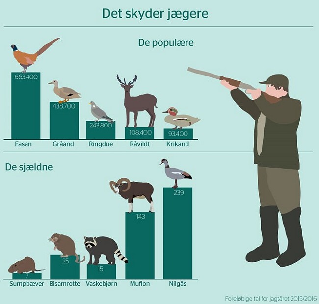 Foreløbige tal for jagtsæsonen 2015/2016. Nedlagt. DCE, Aarhus Universitet har netop offentliggjort den foreløbige jagtstatistik. Grafik: SVANA