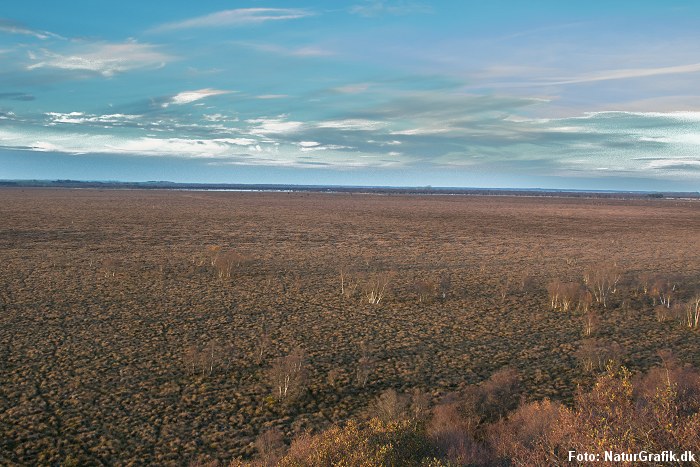 Lille vildmose - naturkanon