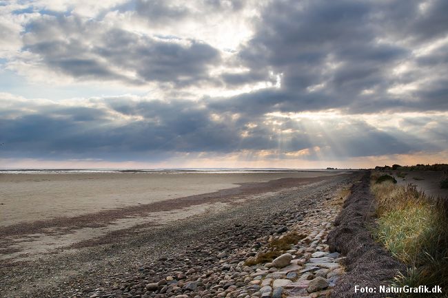 Limfjorden uden vand. Her ved Bygholmdæmningen, Vejlerne.