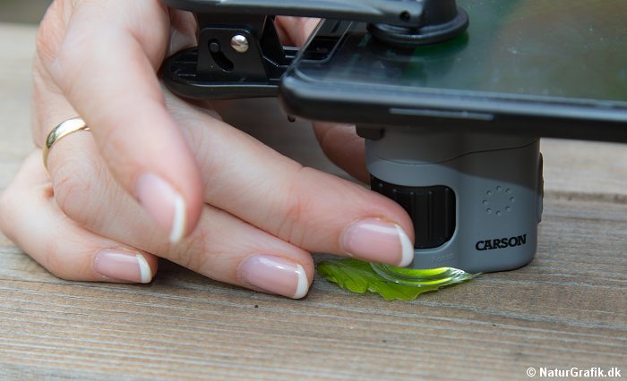 Carson MicroMini-380 lomme-mikroskop