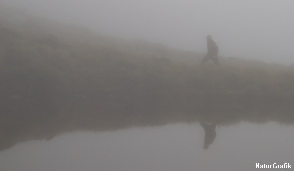 Faret vild i bjergene i den tætte tåge. 