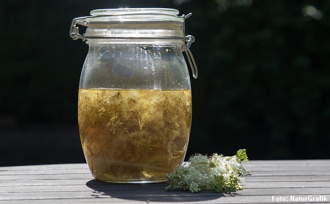 Mjødurtblomster overhældt med en neutral alkohol.