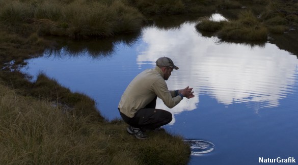 Adgang til vand er livsvigtig for overlevelse i vildmarken. 