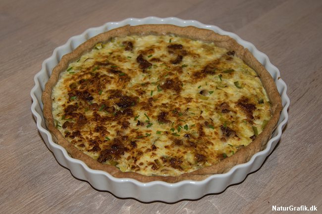 Svampetærte med parykhatte. 