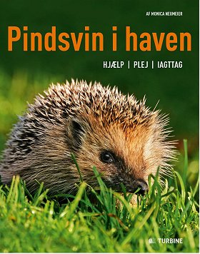 pindsvin_i_haven