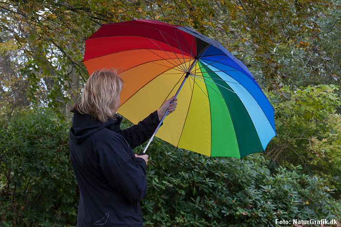 Hvordan måles nedbør?