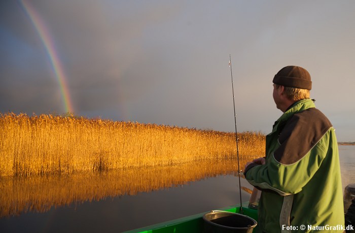 Vikingernes bifrost