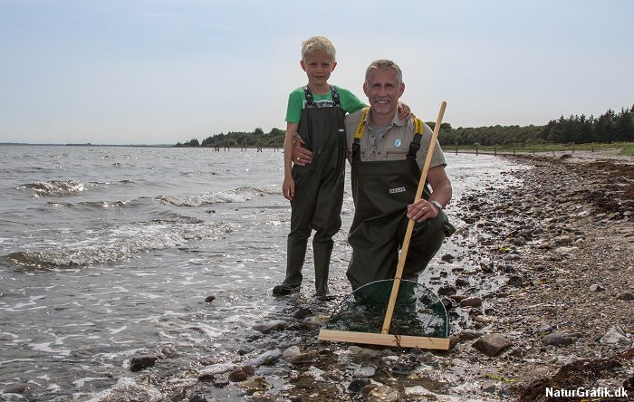 Fang rejer langs kysten med børnene