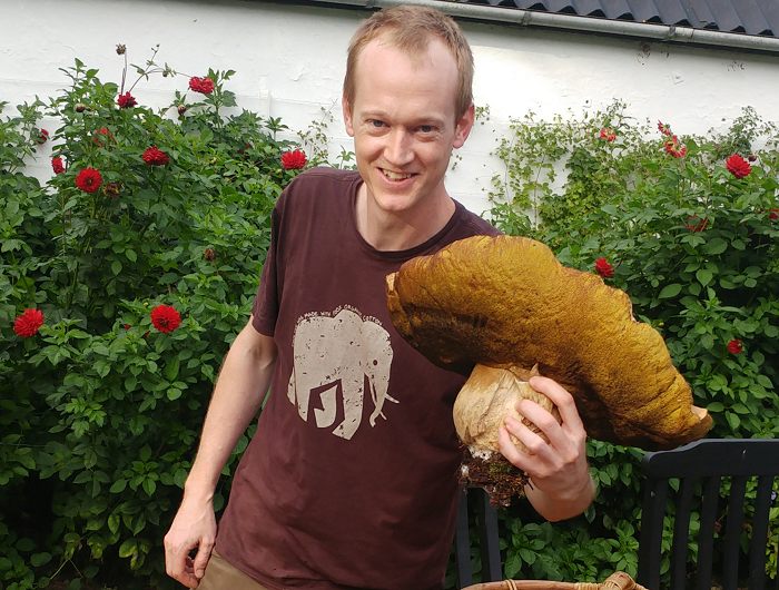 Danmarks største Karl-Johan