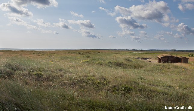En gratis, fredfyldt shelterplads lige ned til stranden. Jerup Strand, Kattegat.
