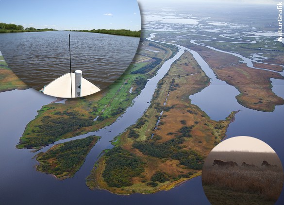 Skjern Å er Danmarks vandrigeste å og den firearmede udmunding betegnes som Danmarks eneste floddelta.