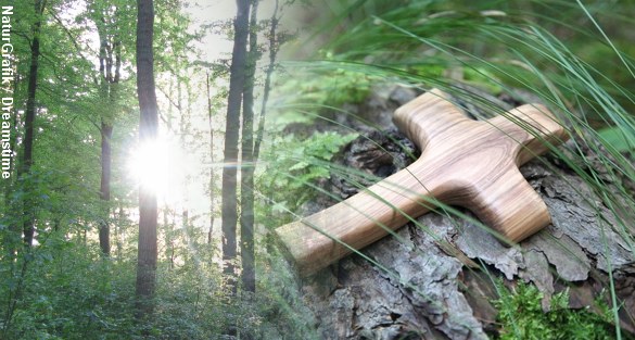 Som det første sted i landet tilbyder Odense nu muligheden for at blive stedt til hvile i skoven. Foto: NaturGrafik/Dreamstime.