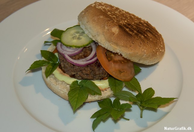 En hjemmelavet "skvalder-burger"