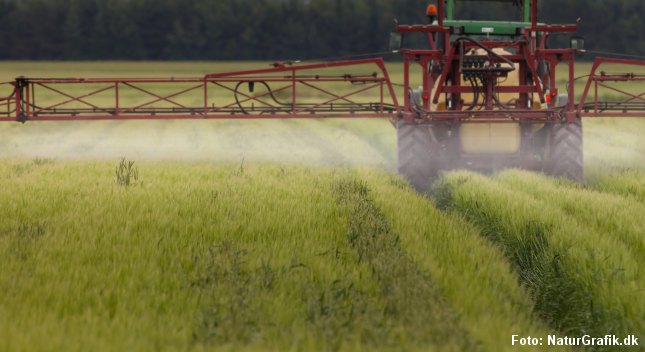 En dansk mark sprøjtes med gift. Forskere anbefaler nu, at gravide spiser økologisk, og at børn får serveret økologisk mad.
