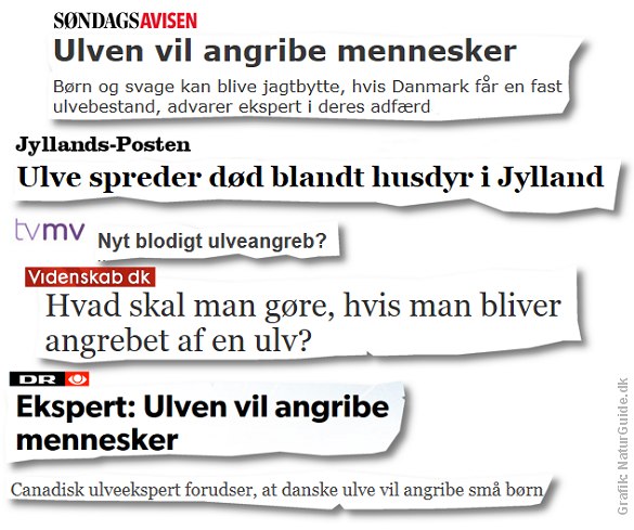 Ulven i medierne