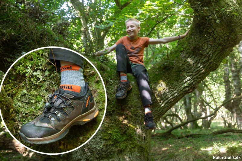 Test af vandresokker fra finske Uphillsport