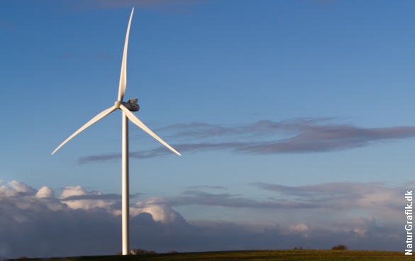Verdens største vindmølle er på vej til Thy, hvor den skal opstilles i testcentret ved Østerild Plantage. Arkivfoto.